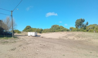 Limpieza de basural en Paseo 122 y Avenida 30 bis: antes y despus
